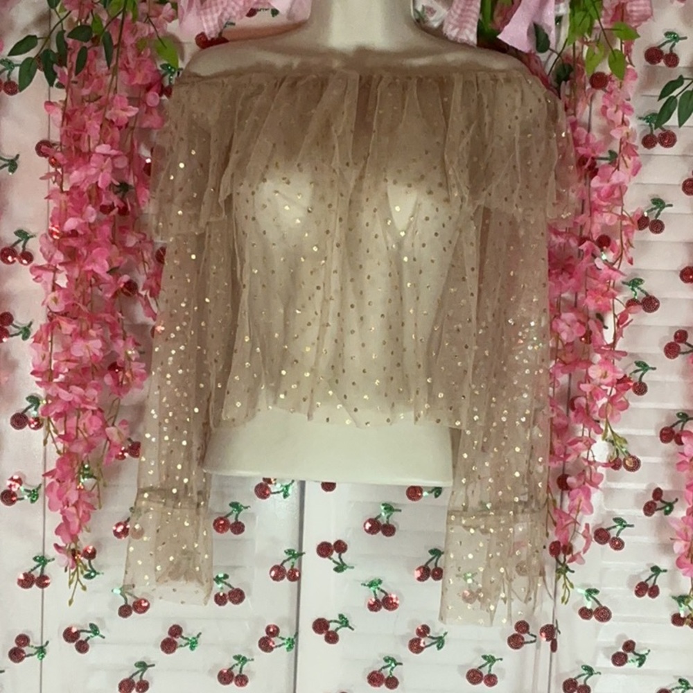 Forever 21 sheer tan off the shoulder top